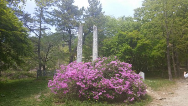 ada3c6d5991256bdfcab16c8a406fa9f_1532931690_7524.jpg